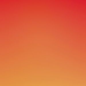 Meet your Posher, Yassmin